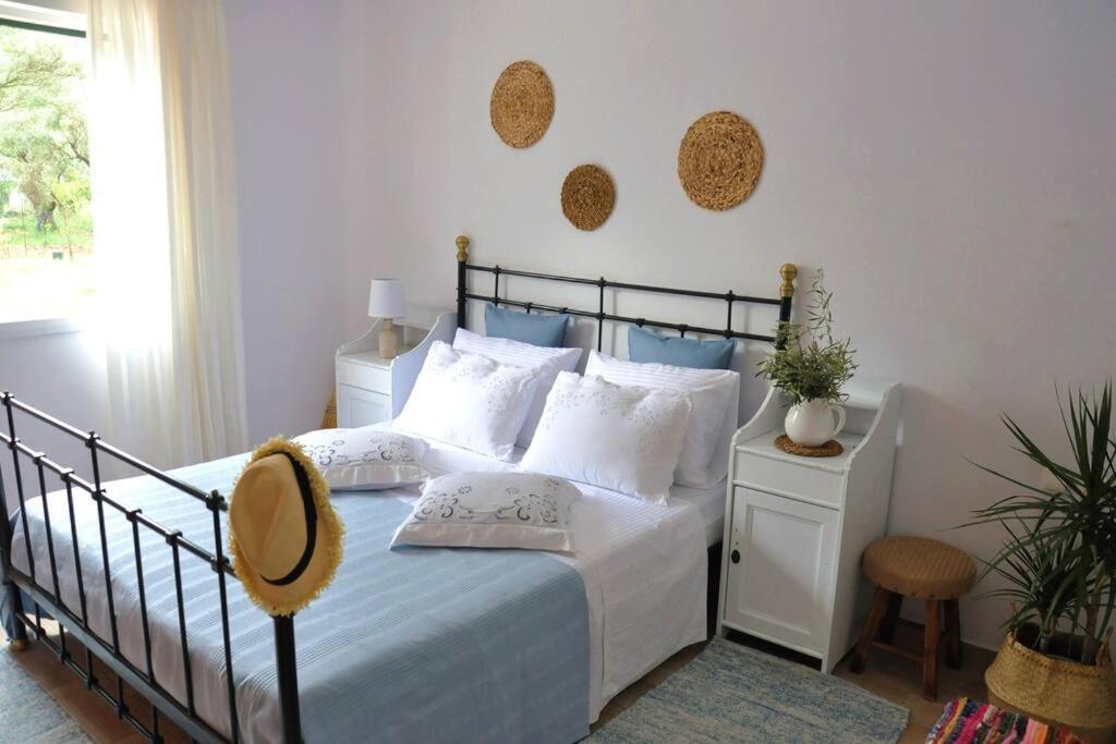 Villa Erietta Near Lefkas Center Apolpaina Экстерьер фото