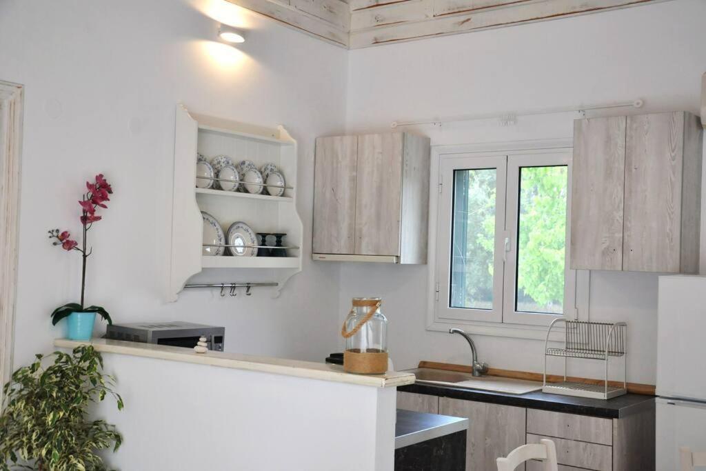 Villa Erietta Near Lefkas Center Apolpaina Экстерьер фото