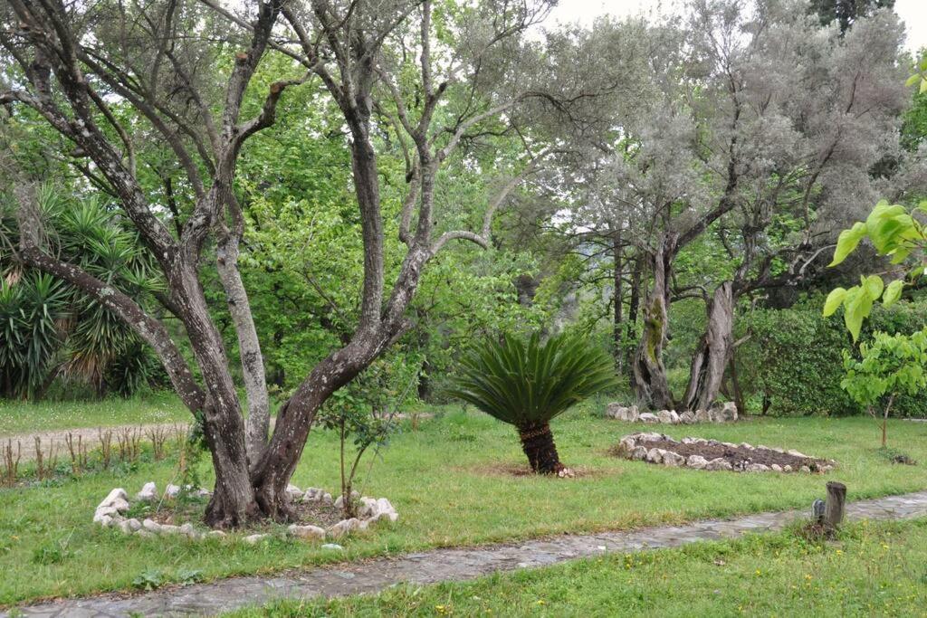 Villa Erietta Near Lefkas Center Apolpaina Экстерьер фото